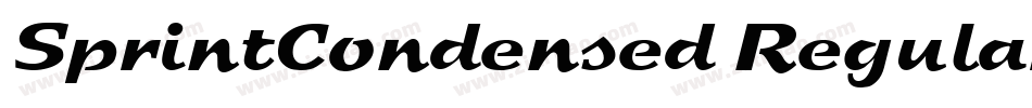 SprintCondensed Regular字体转换